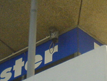 pegel