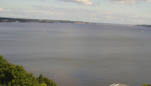 Aktuelles Live Webcam Bild von Deichperle