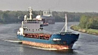 SWE BULK