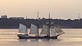 THOR HEYERDAHL