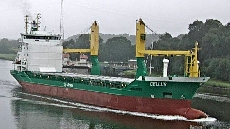 CELLUS