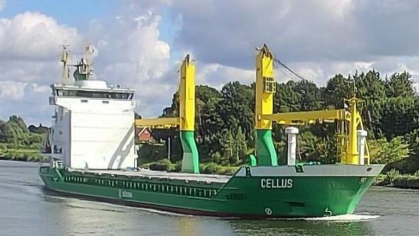 CELLUS