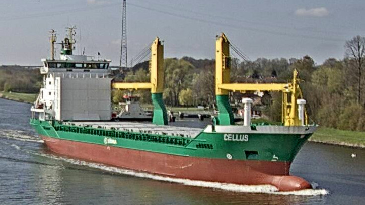 CELLUS