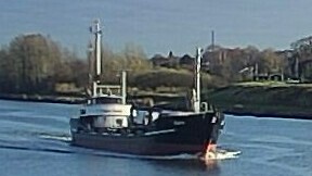 DAGMAR