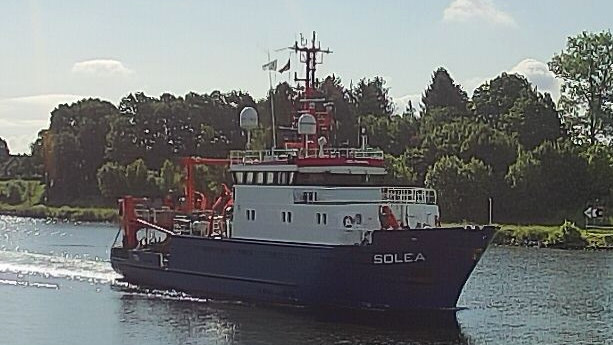 SOLEA