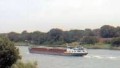 MS HELMUT