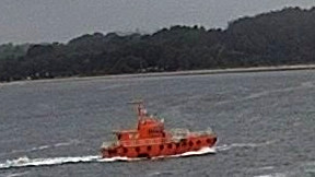 PILOT BUELK