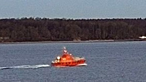 PILOT BUELK