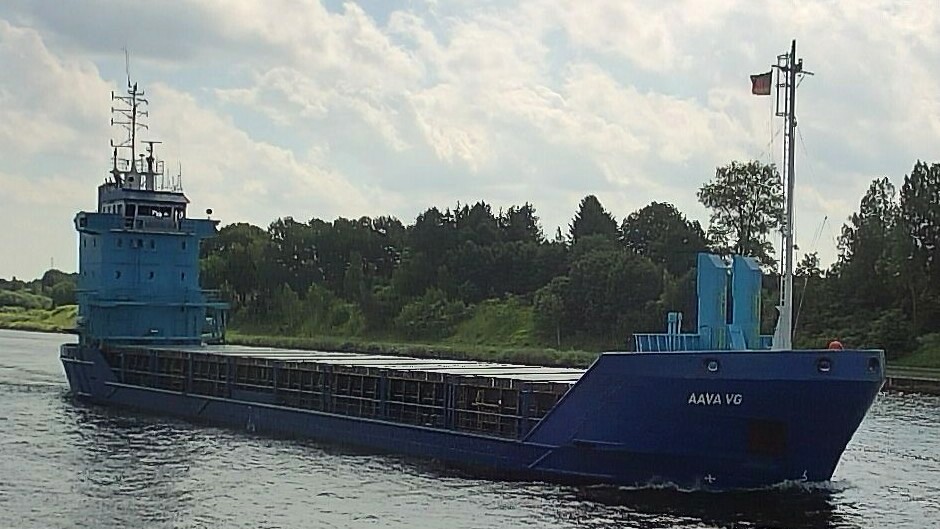 AAVA VG