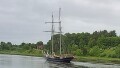 WYLDE SWAN