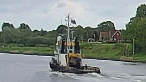 DUTCH PIONEER
