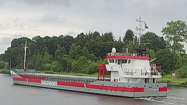 PLATAANBORG