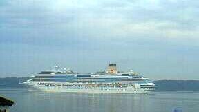 COSTA FASCINOSA