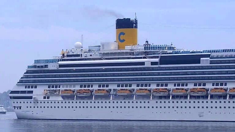 COSTA FASCINOSA