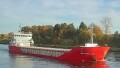 FEED ROGALAND