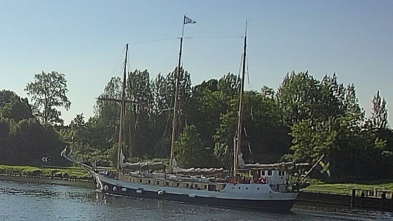ALVA