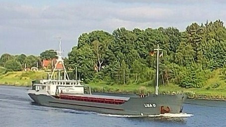 LISA D