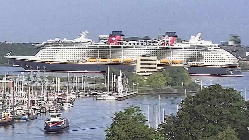 DISNEY DREAM