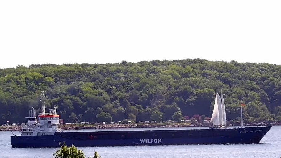 WILSON DAVANGER